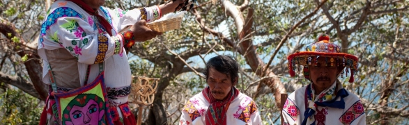 Huichol community, an ancestral culture surviving in a modern world.