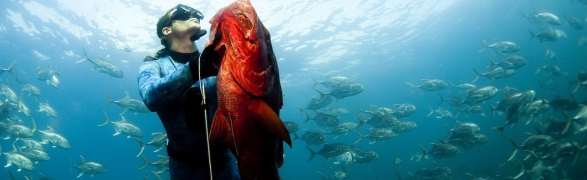 Spearfishing Punta Mita…amazing experience!