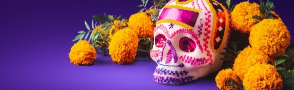 Día de Muertos, all you need to know about this traditional celebration of life!